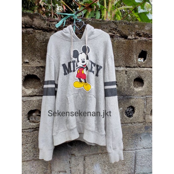 Hoodie Feltics x Disney