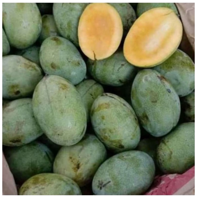 

BUAH MANGGA MANALAGI HARGA PER KILO 1 KG