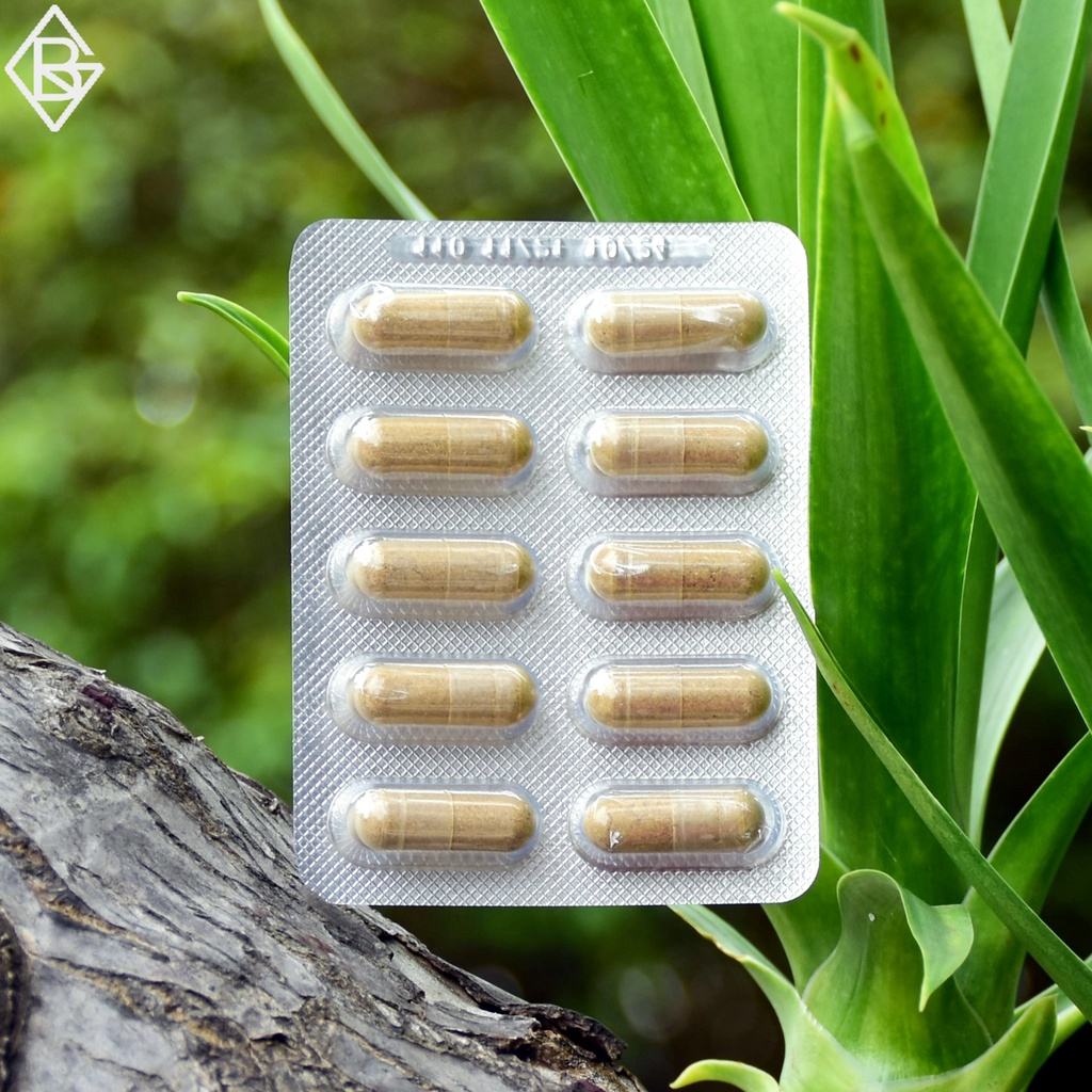 klink Ayuasmo 60 capsules | ayuasmo 60 capsules klink | Original Klink