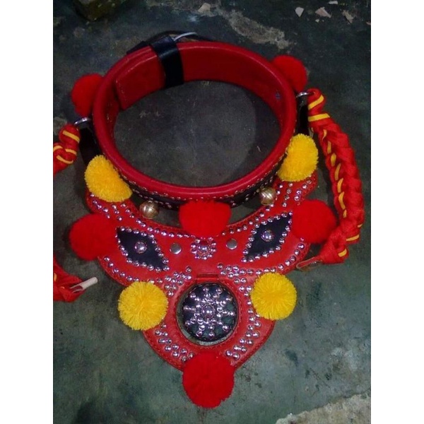 Gongseng/Kengkorong Domba Adu Termurah Berkualitas