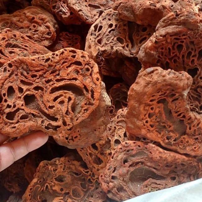 

➮ Sarang Semut Papua Asli 500gr ➱