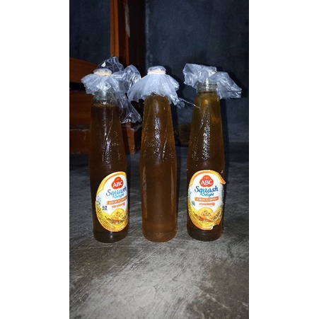 

Madu Hutan asli Lampung, madu lebah Hutan asli Lampung, madu lebah Hutan murni, madu lebah murni lampung, madu tawon asli Lampung, madu lebah murni asli, madu lebah 100% asli.