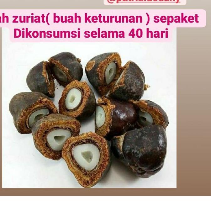 

✶ ZURIAT BELAH SEPAKET ( 40 HARI KONSUMSI ) Zuriat Belah praktis tinggal rebus , LANGSUNG DARI BUAHNYA / ZURIAT ORIGINAL /ZURIAT ORGANIC ♥
