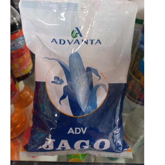 Best Seller.. Benih jagung Hibrida PAC 789 RAKSASA 1kg diganti PAC 789 ADV JAGO