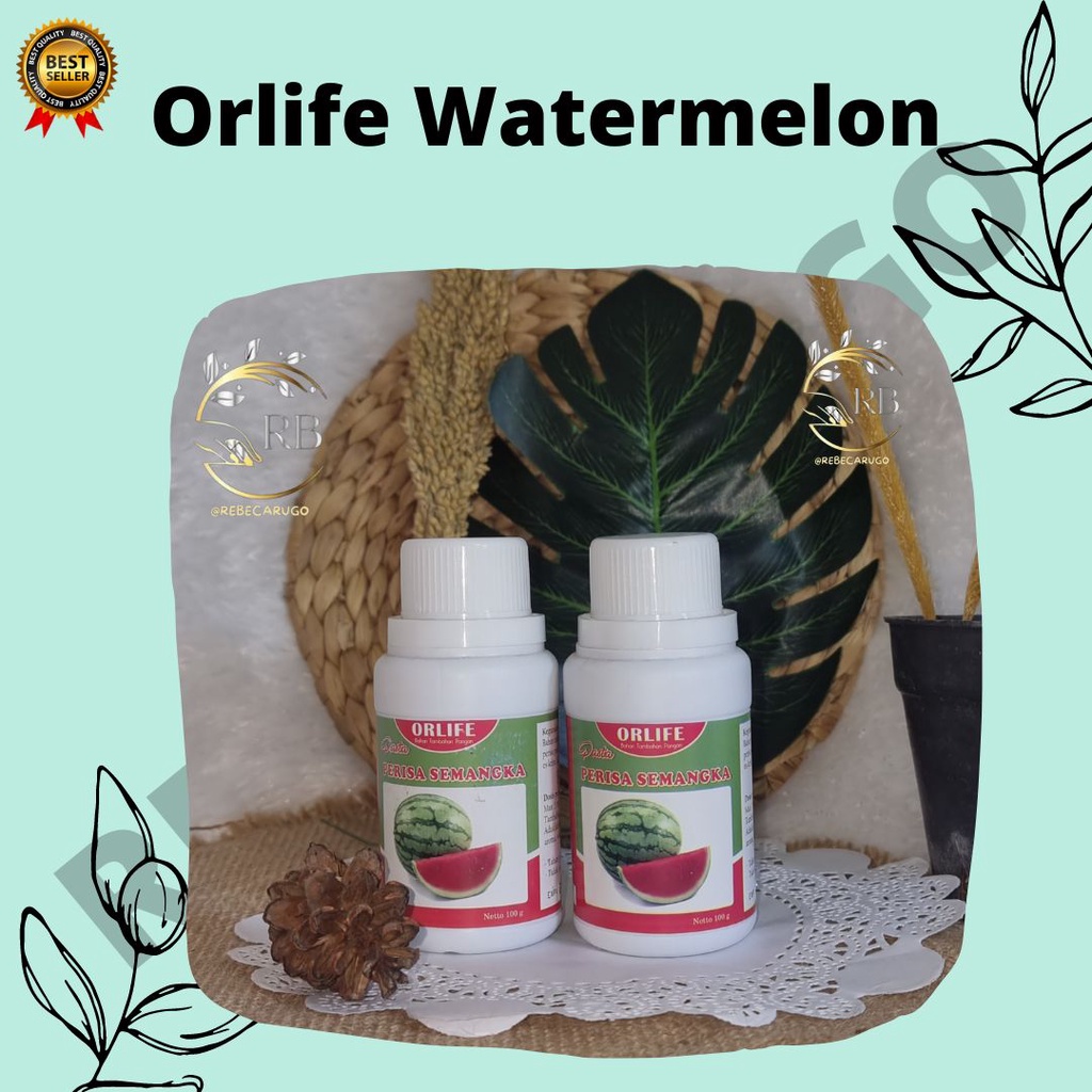 

PROMO✰ Perisa Pasta Semangka 100 Gram Orlife | Perisa Minuman merk orlife | Orlife perisa makanan dan minuman 100 gr || Perisa Minuman merk orlife | Orlife perisa makanan dan minuman