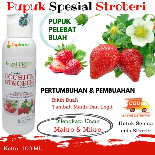 Pupuk Buat Stroberi / Pupuk Penyubur Buah Stroberi / Pupuk Stroberi Agar Cepat Berbuah / Pupuk Untuk