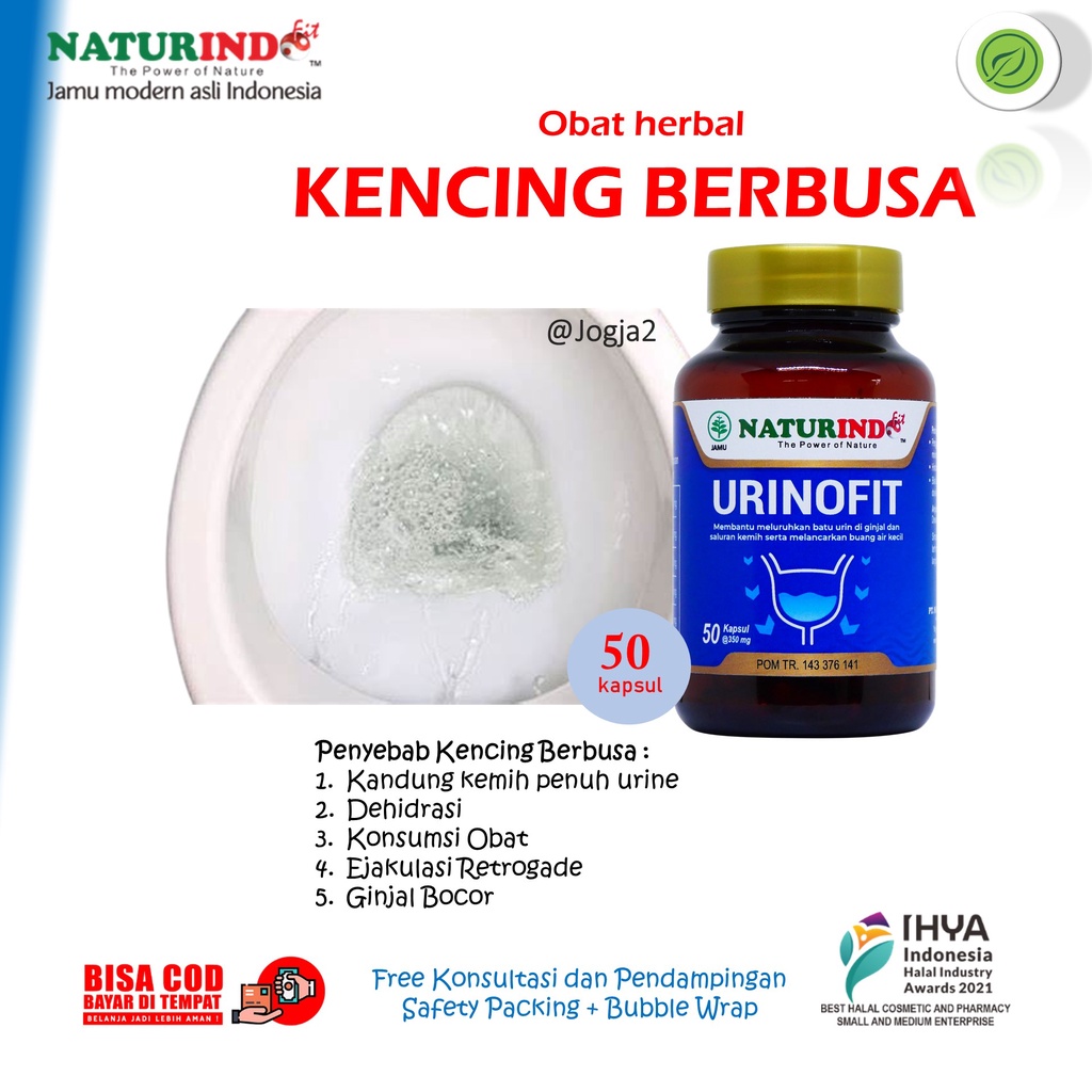 Obat Herbal Urinofit Atasi Kencing Berbusa Beser Anyang Anyangan Urinofit Naturindo