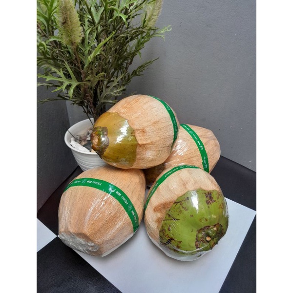 

Ay00! Kelapa Kopyor Grade C