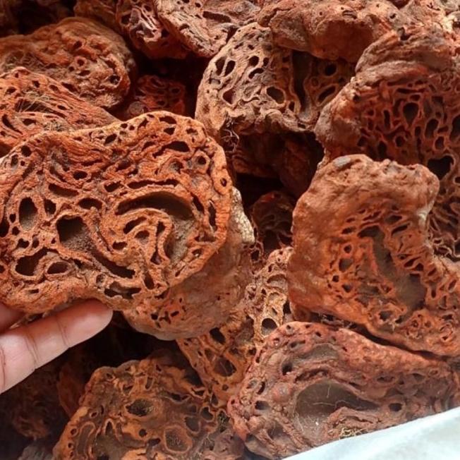 

➪ Sarang Semut Papua Asli 500gr ™