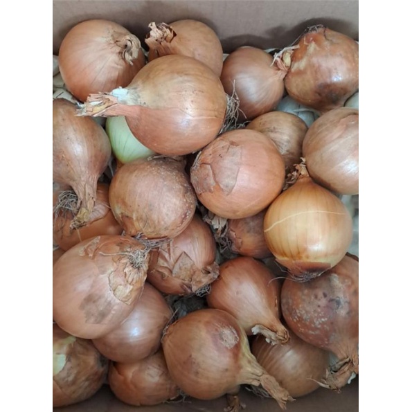 

BOMBAY NEW ZEALAND 1KG