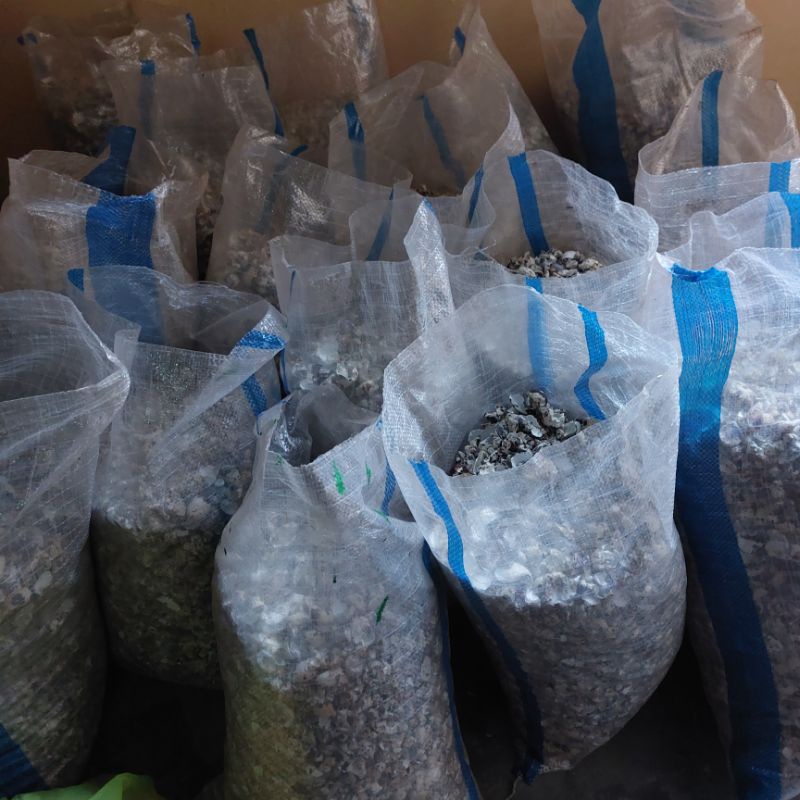 Grit cangkang kulit telur puyuh 1kg