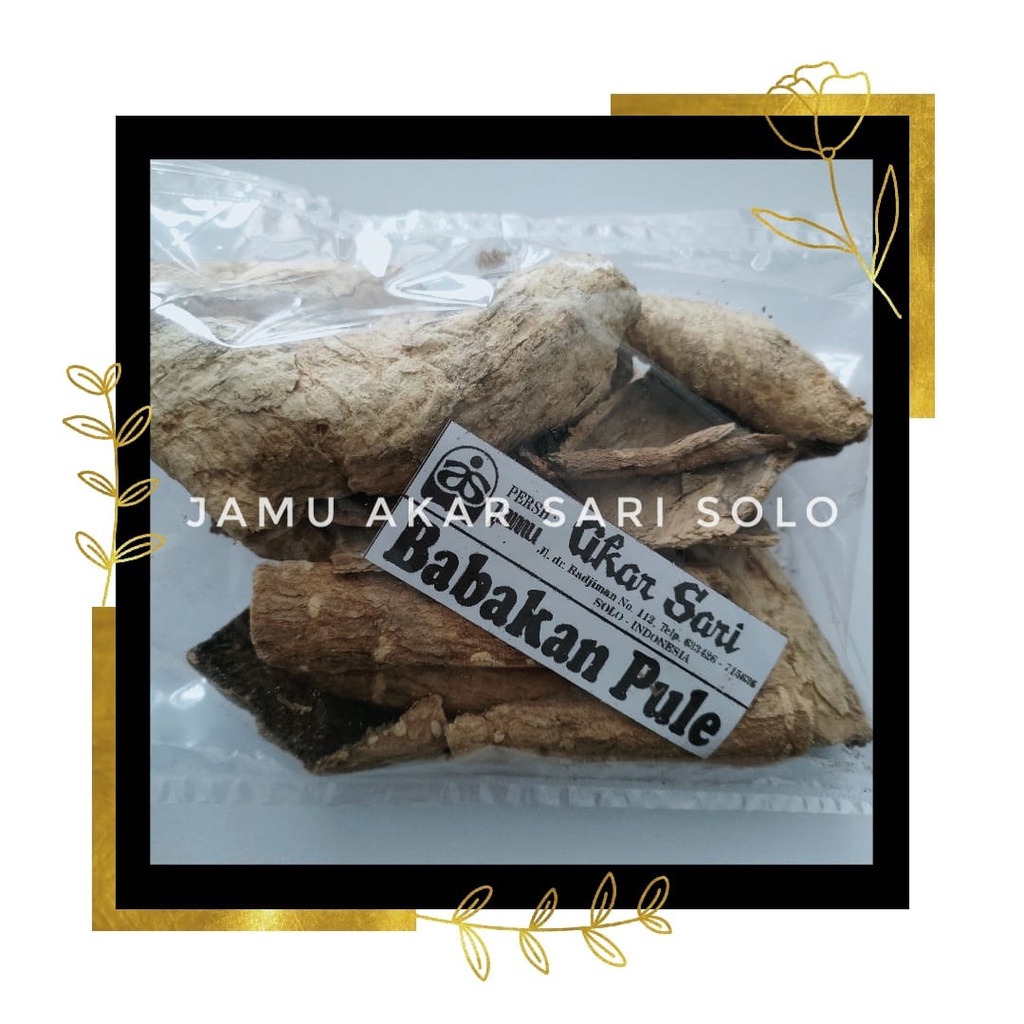 

Jamu Akar Sari - Kulit Babakan Pule - Babakan Pule 100 gram - Untuk Menurunkan Kadar Gula Darah