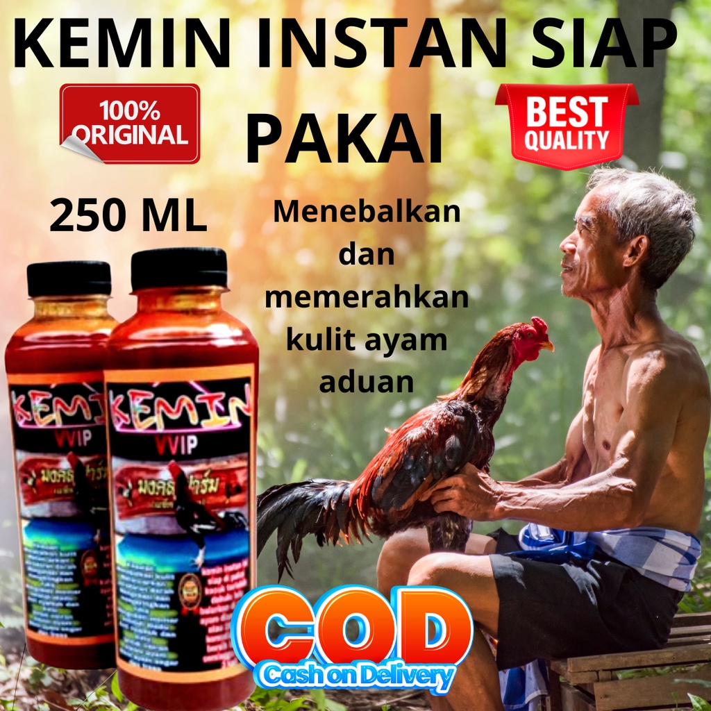 kemin ayam aduan kemin merah khemin ayam jamu ayam bangkok doping ayam tarung
