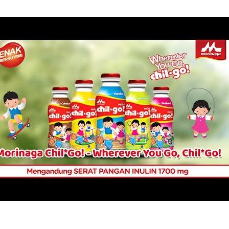 

♥ CHILGO ml (6 Banded) ←