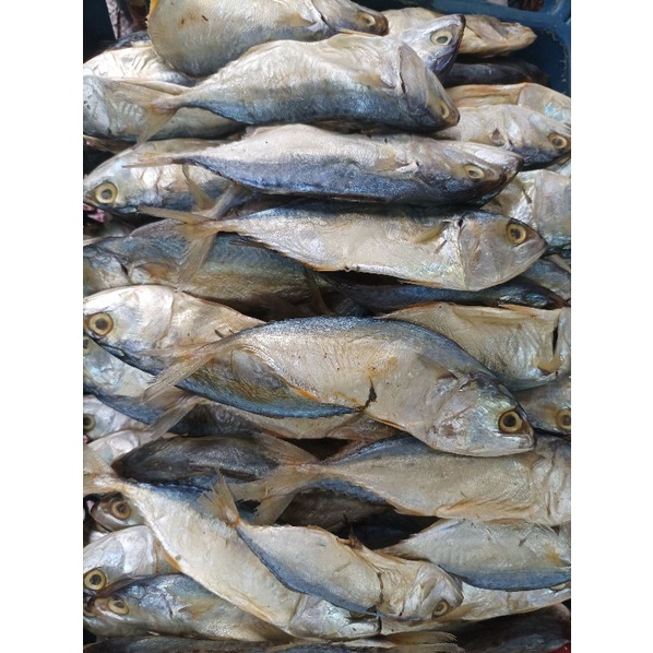 

Ikan Asin peda Kecil 250gram