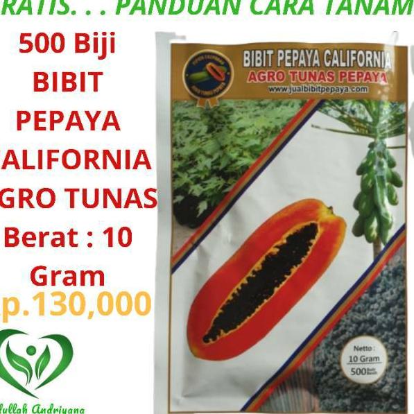 ۞ Bibit Pepaya CALIFORNIA AGRO TUNAS 10 gr 500Biji Benih PEPAYA CALINA ℮