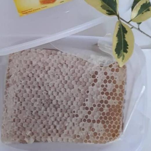 

✺ Sarang Lebah Asli super Premium 250gr ➸