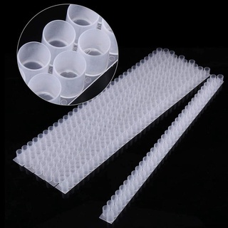 Mangkok Ratu Lebah Peternakan Tawon Rimba Raya beekeeping beekeeper alat ternak lebah mangkok dobel