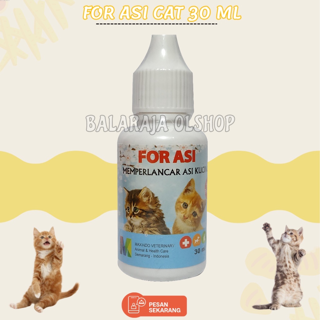 For Asi Cat - Meningkatkan Kualitas Asi Kucing Vitamin Asi Kucing