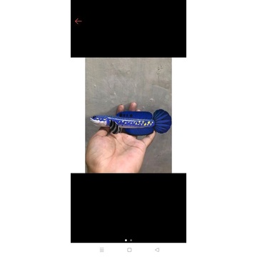 Patung Cana BLU pucra buatan tangan