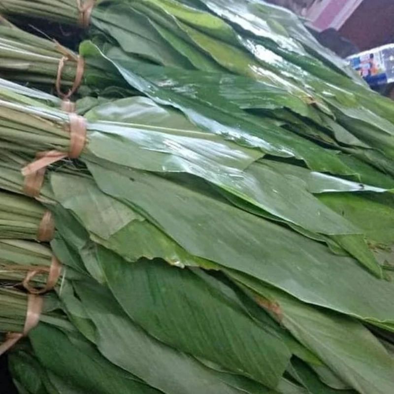 

Daun kunyit 10 lembar