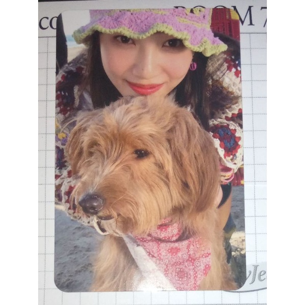 Official Photocard Joy Benji Anji Album Hello Red Velvet