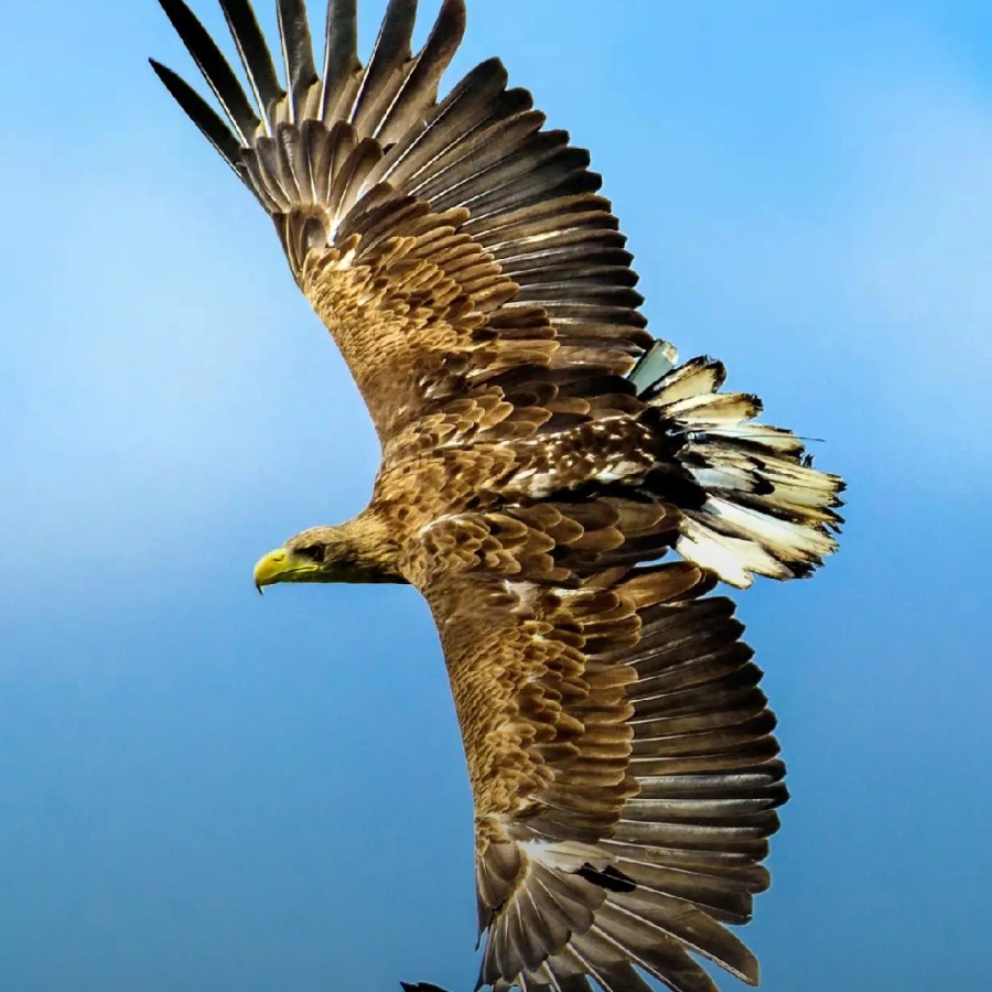 Ongkir Jakarta Barat