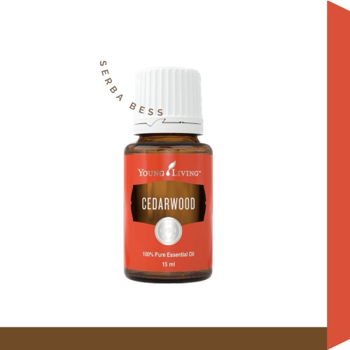 Cedarwood Essential Oil 15ml YL Original