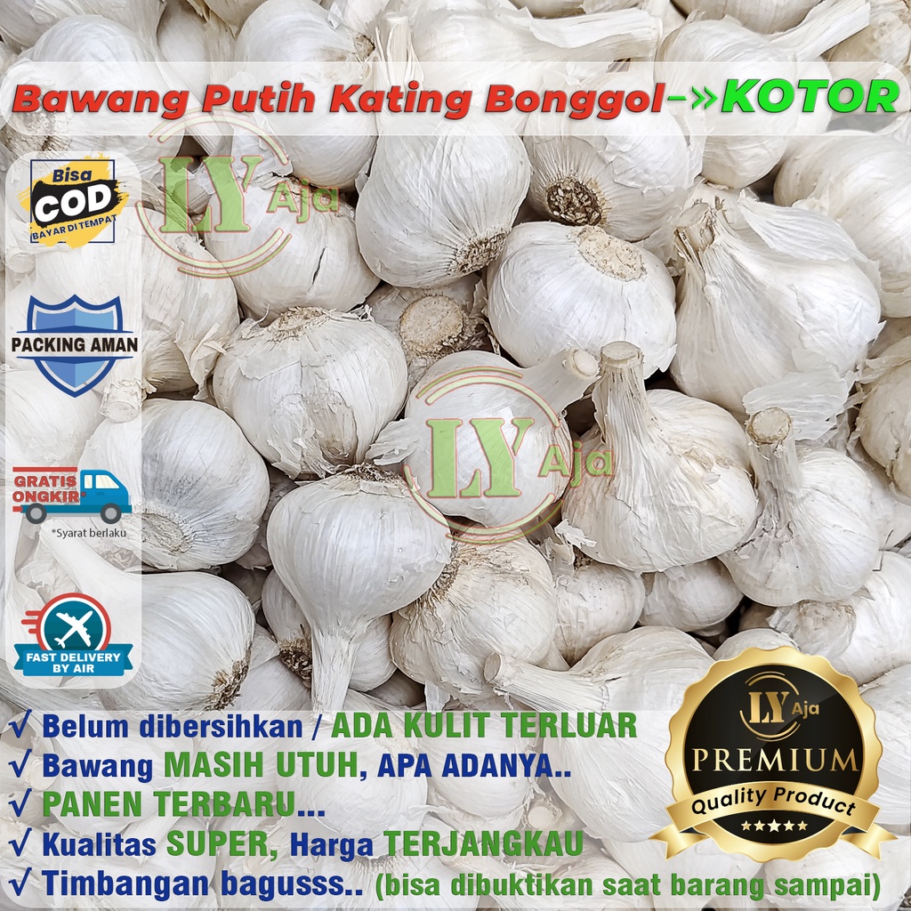 Bawang Putih Kating BERSIH dan KOTOR Bonggol 1 Kg Kualitas Super LY Aja 1Kg