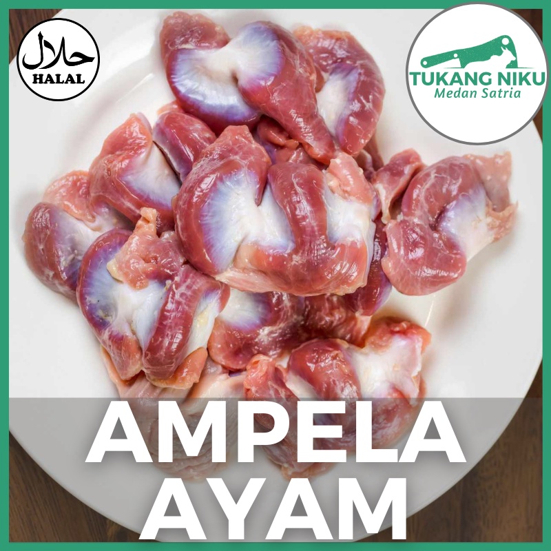 

AMPELA AYAM BERSIH - HALAL DAGING SEGAR FROZEN FRESH BEKU POTONG CHICKEN ATI HATI JANTUNG REMPELA JEROAN BEKASI KG GR