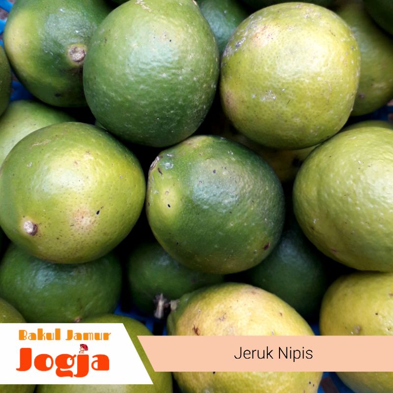 

JERUK NIPIS (500 gram)