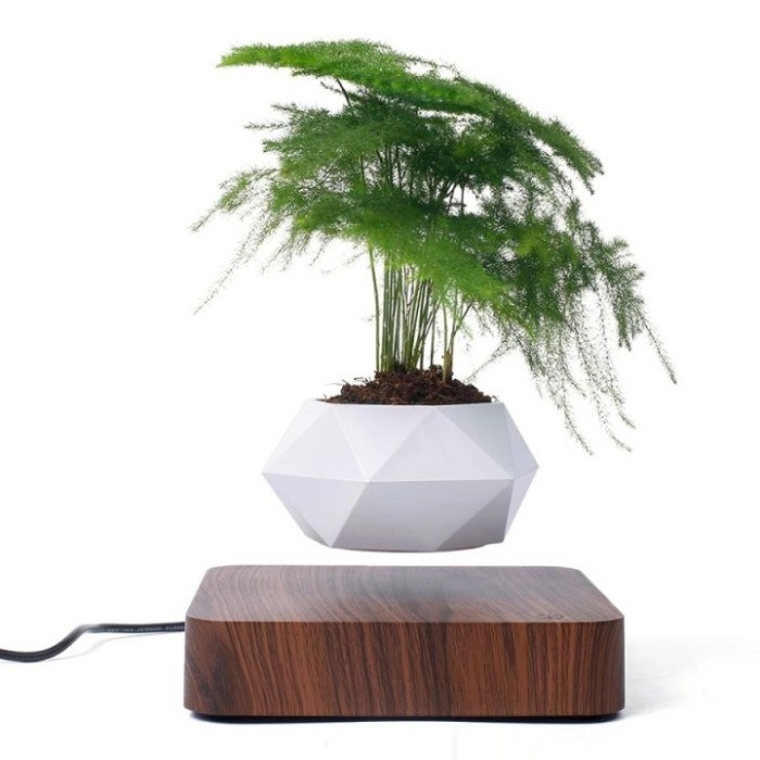 

Home Desk Decoration Magnetic Levitation Floating Potted Plant Star Seller