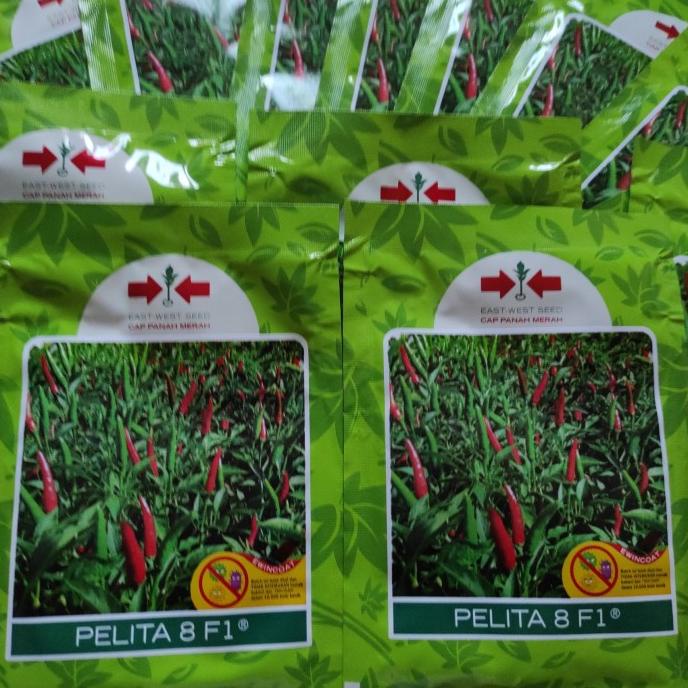 benih cabe rawit PELITA 8 F1 isi 2250 butir