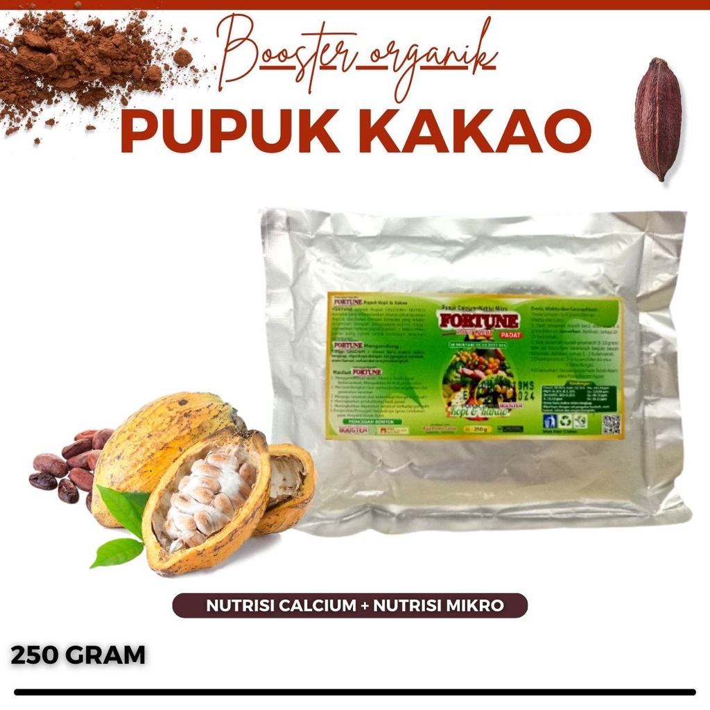 Fortune Pupuk Perangsang Buah Coklat (Kakao), Pupuk Tanaman KopiKakao Mencegah Rontok Buah