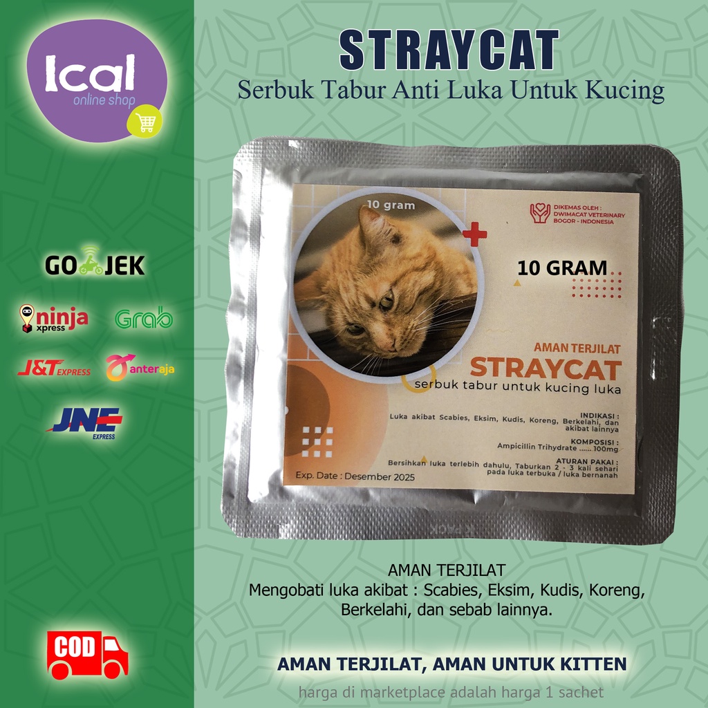 Ratoo Obat Kucing Luka Terbuka Infeksi Bernanah Straycat