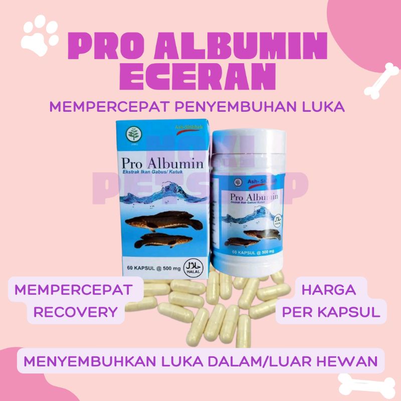 [BISA COD] PRO ALBUMIN ECER SATUAN OBAT LUKA KUCING EKSTRAK IKAN GABUS  SUPLEMEN PENYEMBUH LUKA KUCING TERBUKA BASAH BERANTEM BERNANAH BOLONG SAMA JAMUR PADA CAKARAN DI MULUT AMAN DIJILAT