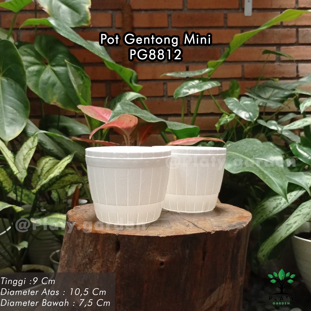 Pot Gentong Lovenia Mini - Gentong 12