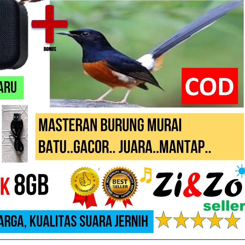 ☑ Speaker Mini T5 USB 8GB Bonus Isi MP3 Masteran Burung Murai Batu Gacor ➶