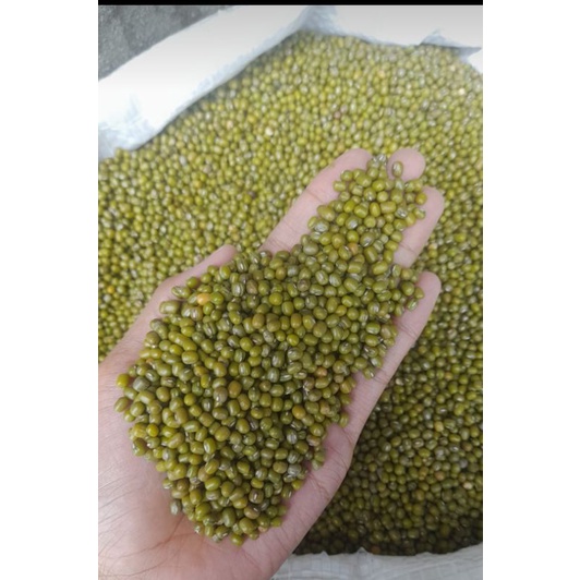 

Kacang hijau 1 kg panenan baru