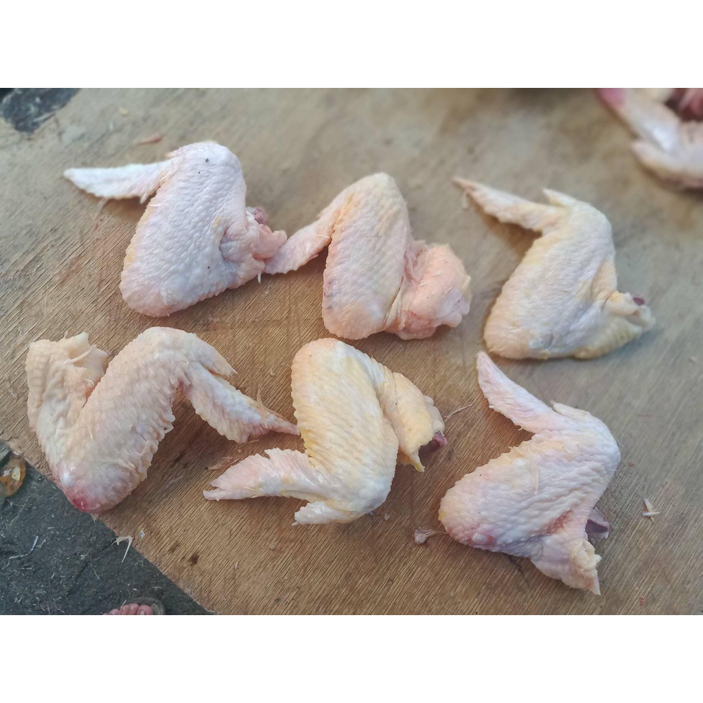 

BAH Sayap Ayam - Halal Daging Segar Frozen Fresh Beku Potong Chicken Wing Wings Bekasi Kg Gr