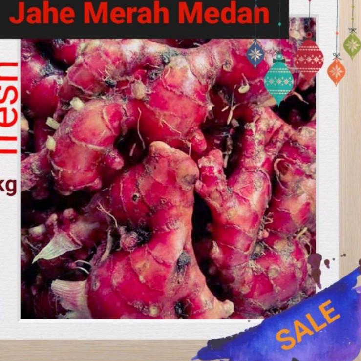 

New Collection JAHE MERAH SUPER SEGAR ASLI MEDAN 1 KG