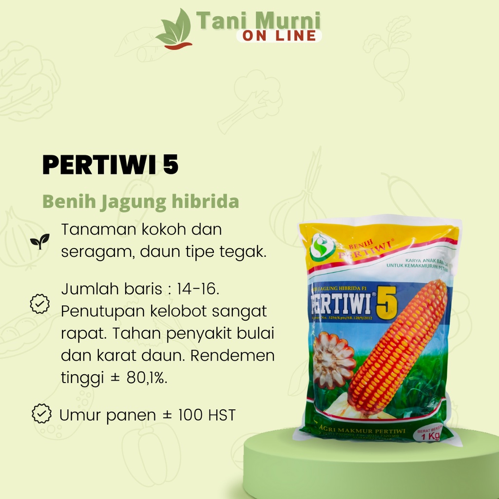 Benih Jagung Hibrida Pertiwi 5 Pertiwi 1 Kg
