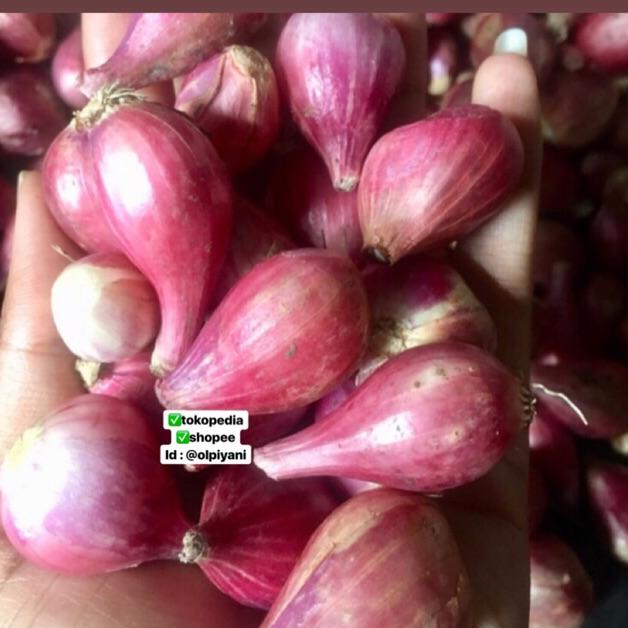 

3.3 HARGA GROSIR Bawang merah sedang 1kg