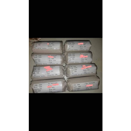 cupang adu line Sakai