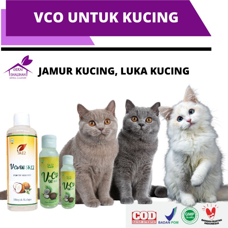 Vco untuk kucing Vco Jamur kucing Obat jamur kucing herbal bpom