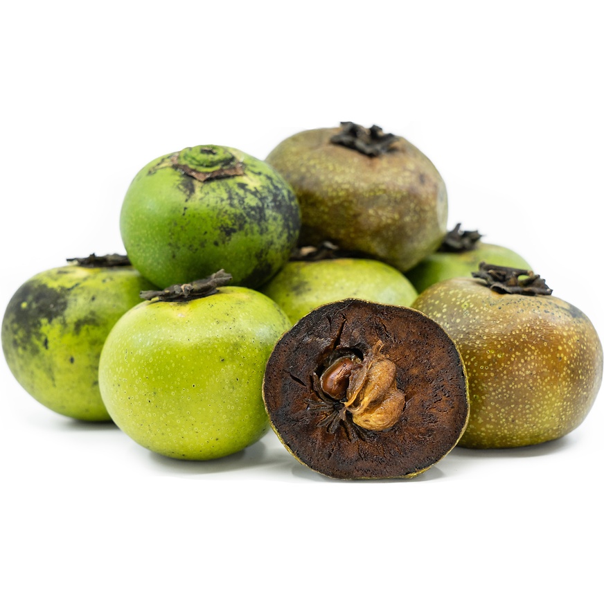 Benih/Biji Black Sapote Kesemek Hitam Benih Berkualitas