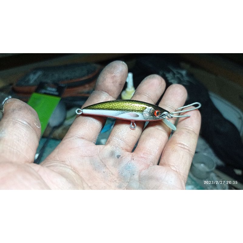 Minnow Sinking Handmade