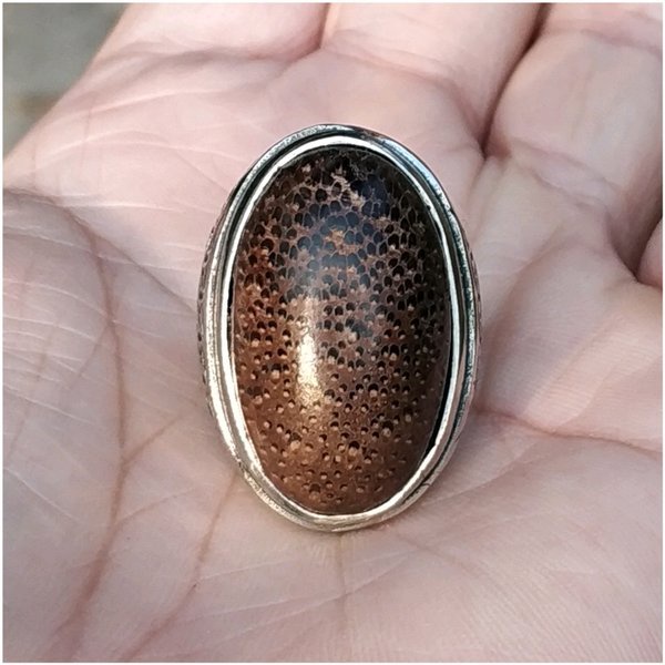 Batu Cincin  BATU AKIK NATURAL FOSIL KAYU LIWUNG LAWU MACAN FOSIL KAYU AREN PGS482