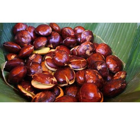 

✭ Jengkol Mentah Super Tua Fresh Segar Murah Meriah ➸