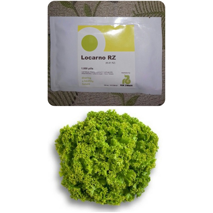 1000 pills Benih Selada LOCARNO RZ Leaf Lettuce, kemasan asli